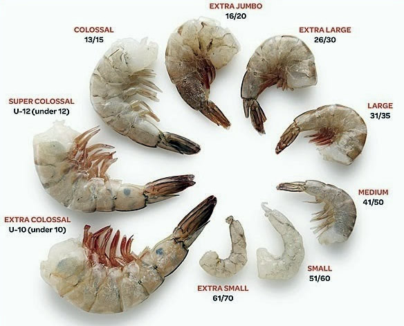 Tallas Camaron Inpesandina